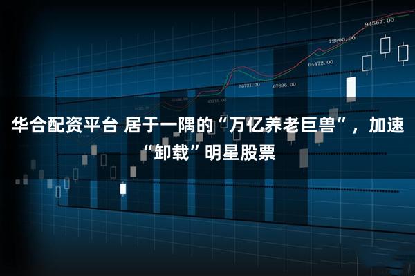 华合配资平台 居于一隅的“万亿养老巨兽”，加速“卸载”明星股票