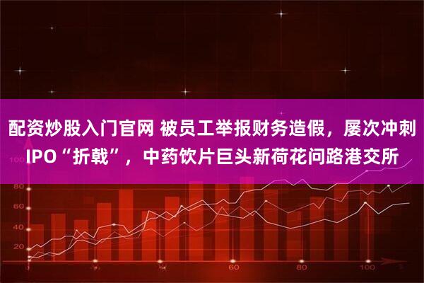 配资炒股入门官网 被员工举报财务造假，屡次冲刺IPO“折戟”，中药饮片巨头新荷花问路港交所