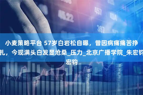 小麦策略平台 57岁白岩松自曝，曾因病痛痛苦挣扎，今现满头白发显沧桑_压力_北京广播学院_朱宏钧