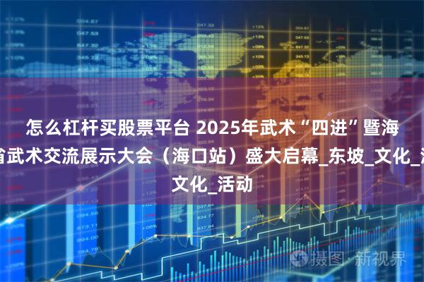 怎么杠杆买股票平台 2025年武术“四进”暨海南省武术交流展示大会（海口站）盛大启幕_东坡_文化_活动