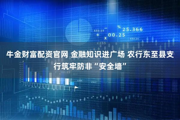 牛金财富配资官网 金融知识进广场 农行东至县支行筑牢防非“安全墙”