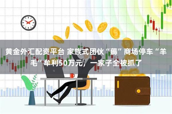 黄金外汇配资平台 家族式团伙“薅”商场停车“羊毛”牟利50万元，一家子全被抓了