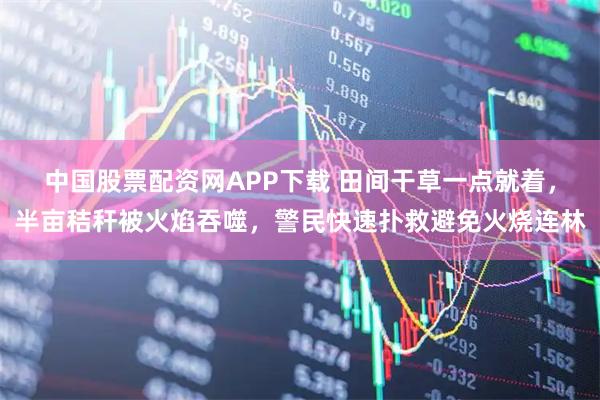 中国股票配资网APP下载 田间干草一点就着，半亩秸秆被火焰吞噬，警民快速扑救避免火烧连林