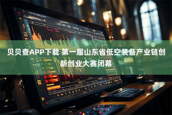 贝贝查APP下载 第一届山东省低空装备产业链创新创业大赛闭幕